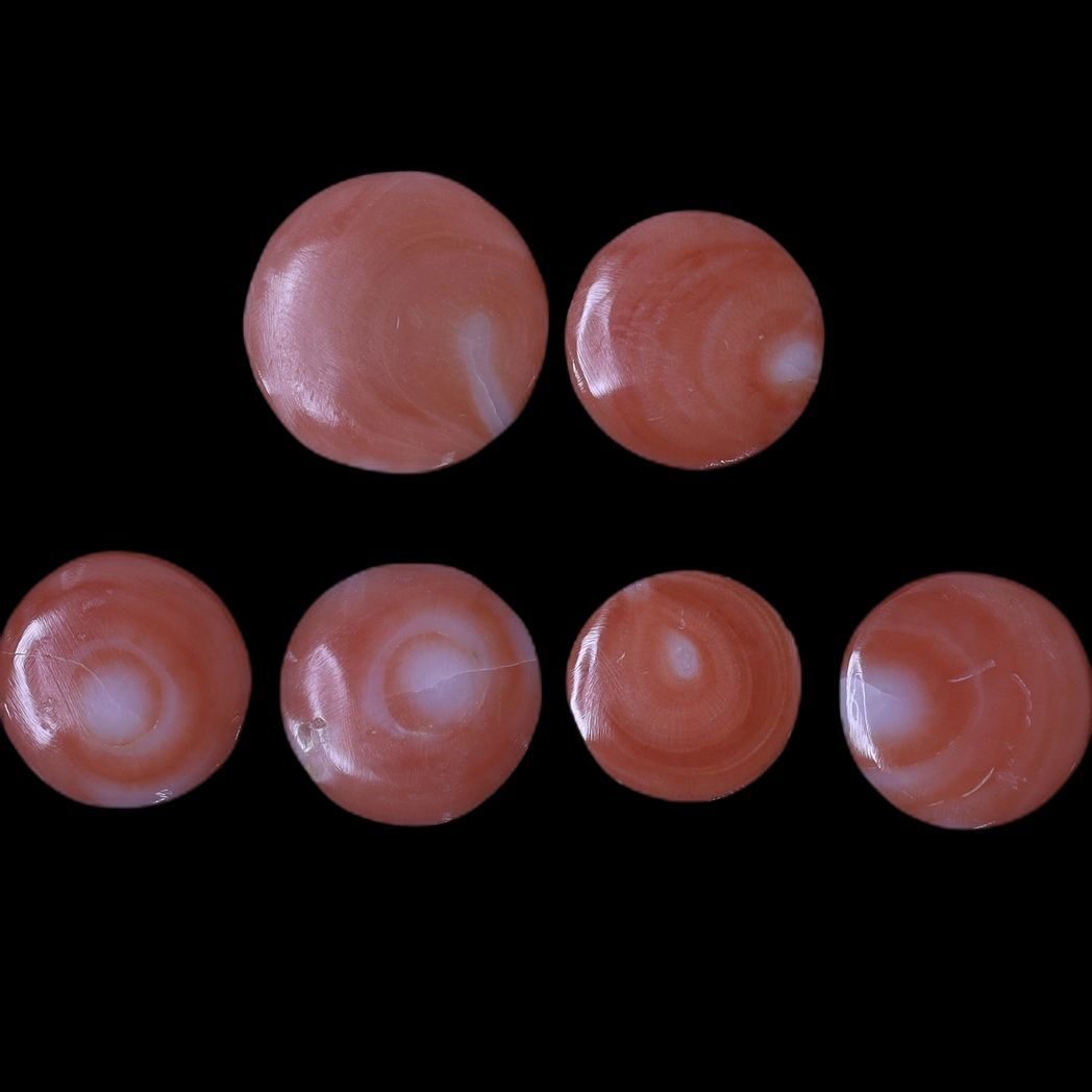 product-details