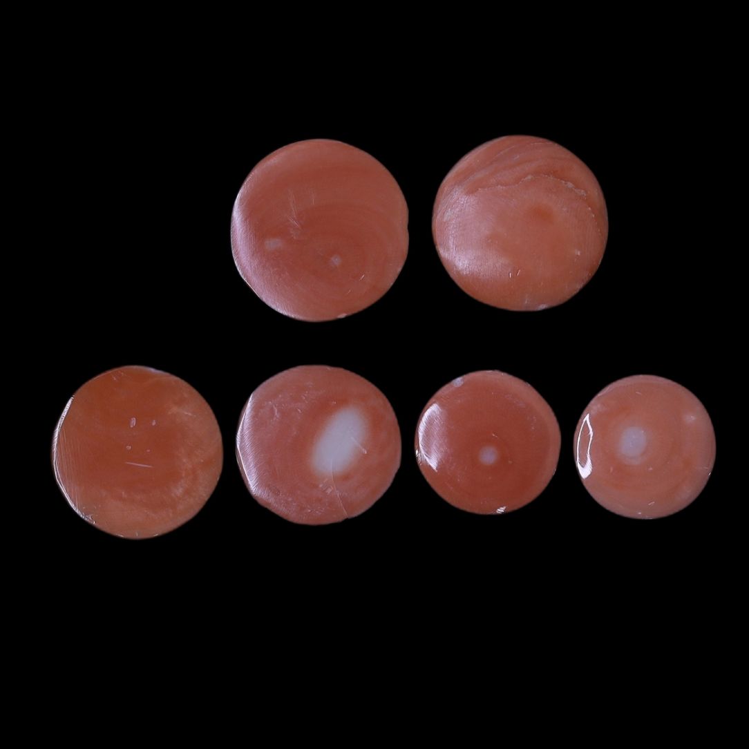 product-details