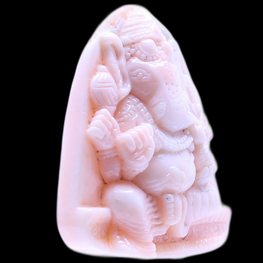 product-details