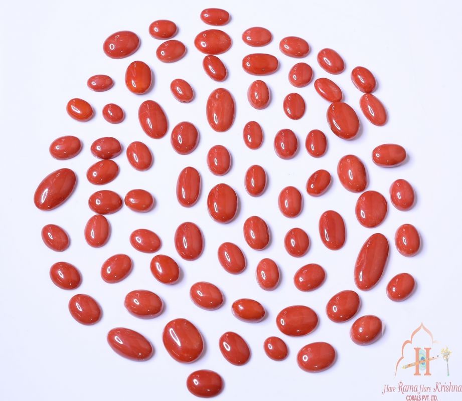 Momo & Sardinia Oval Cabochon