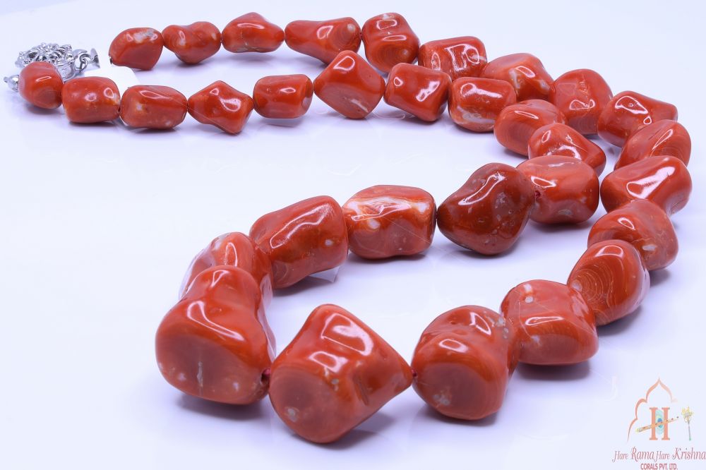 Coral Free Shape Beads